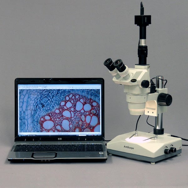 AmScope ZM-2 Series Ultimate Zoom Trinocular Microscope 6.7X-45X Magnification on Pillar Stand with Two Lights - Image 5
